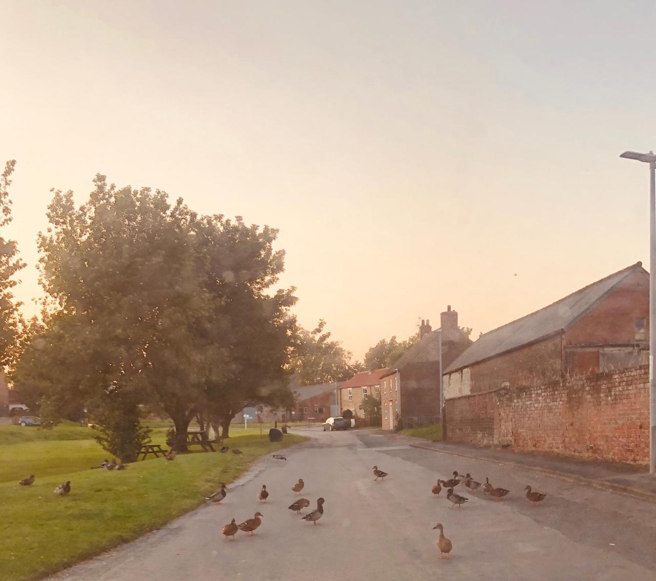 Village Barn Conversion Near York Luaran gambar